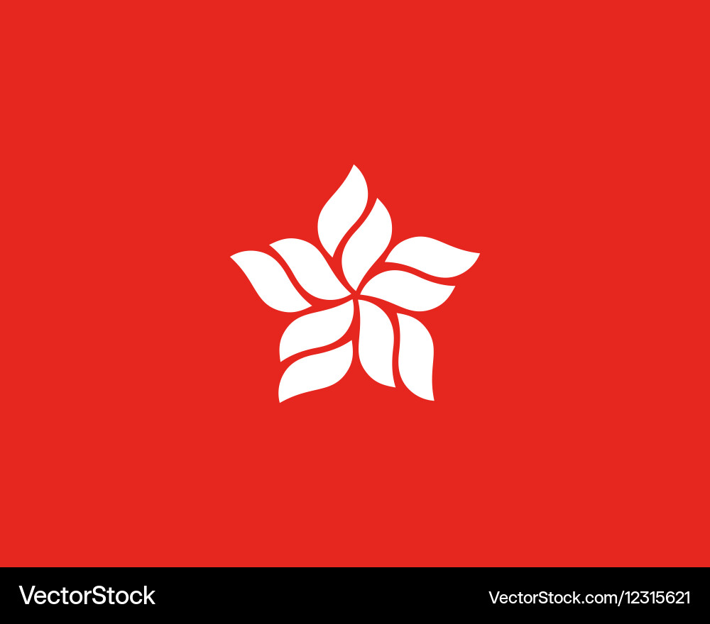 Abstract star logo design template Leaf flow wave Vector Image