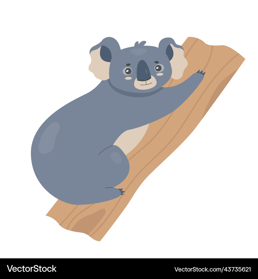 Koala bear sitting on tree Royalty Free Vector Image