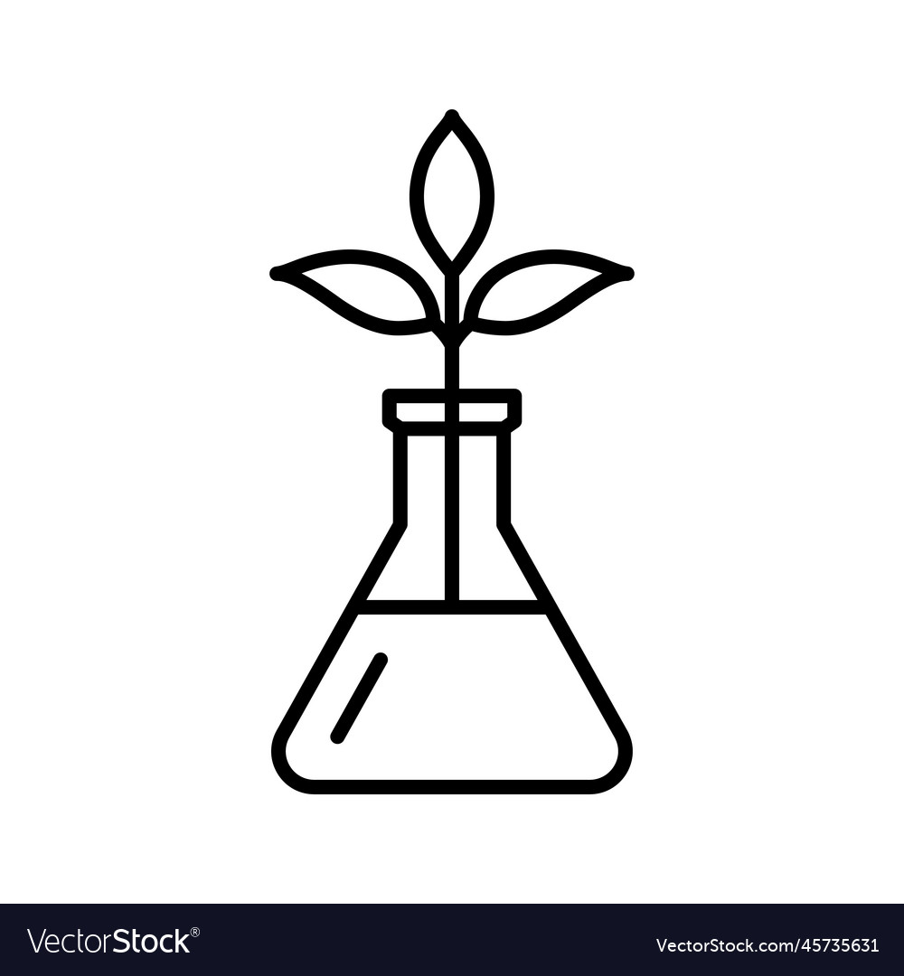 Genetically Modified Sprout in Lab Flasks