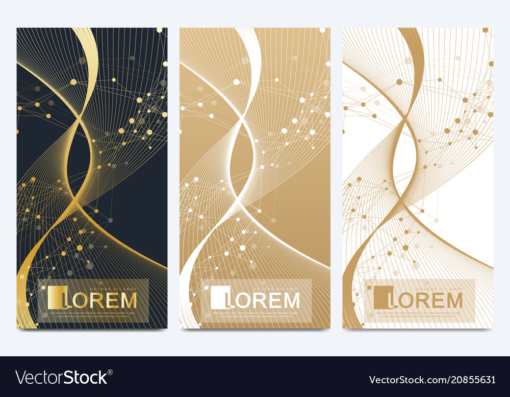 Modern set of flyers molecule Royalty Free Vector Image