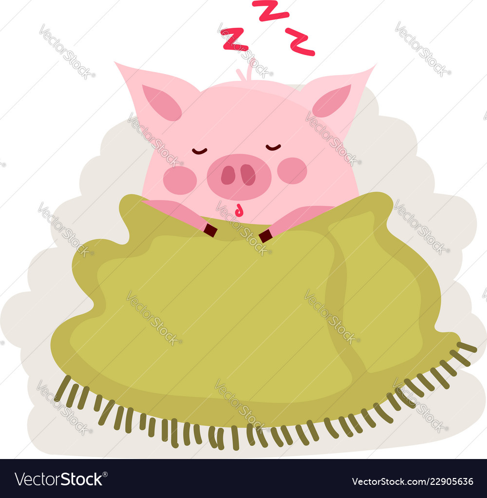 Cute cartoon pig covered blanket isolated on Vector Image