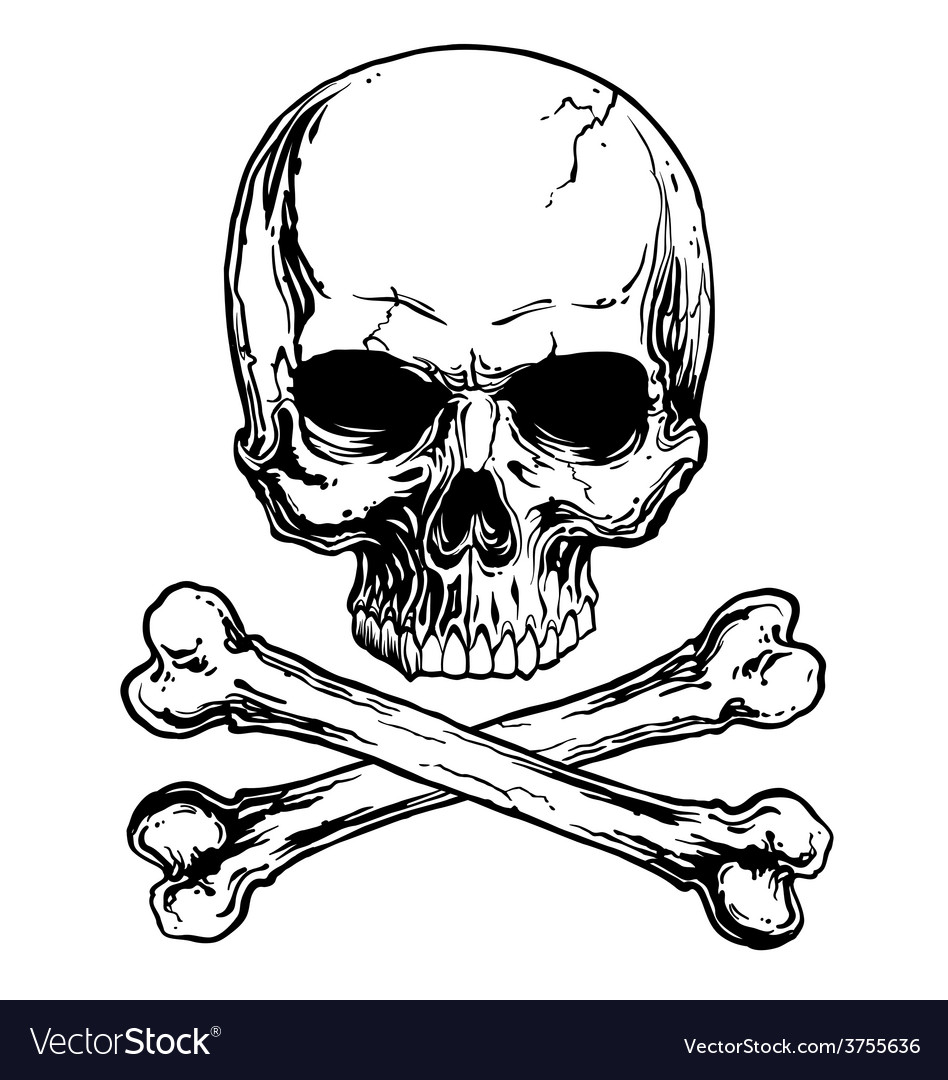 skull and bones