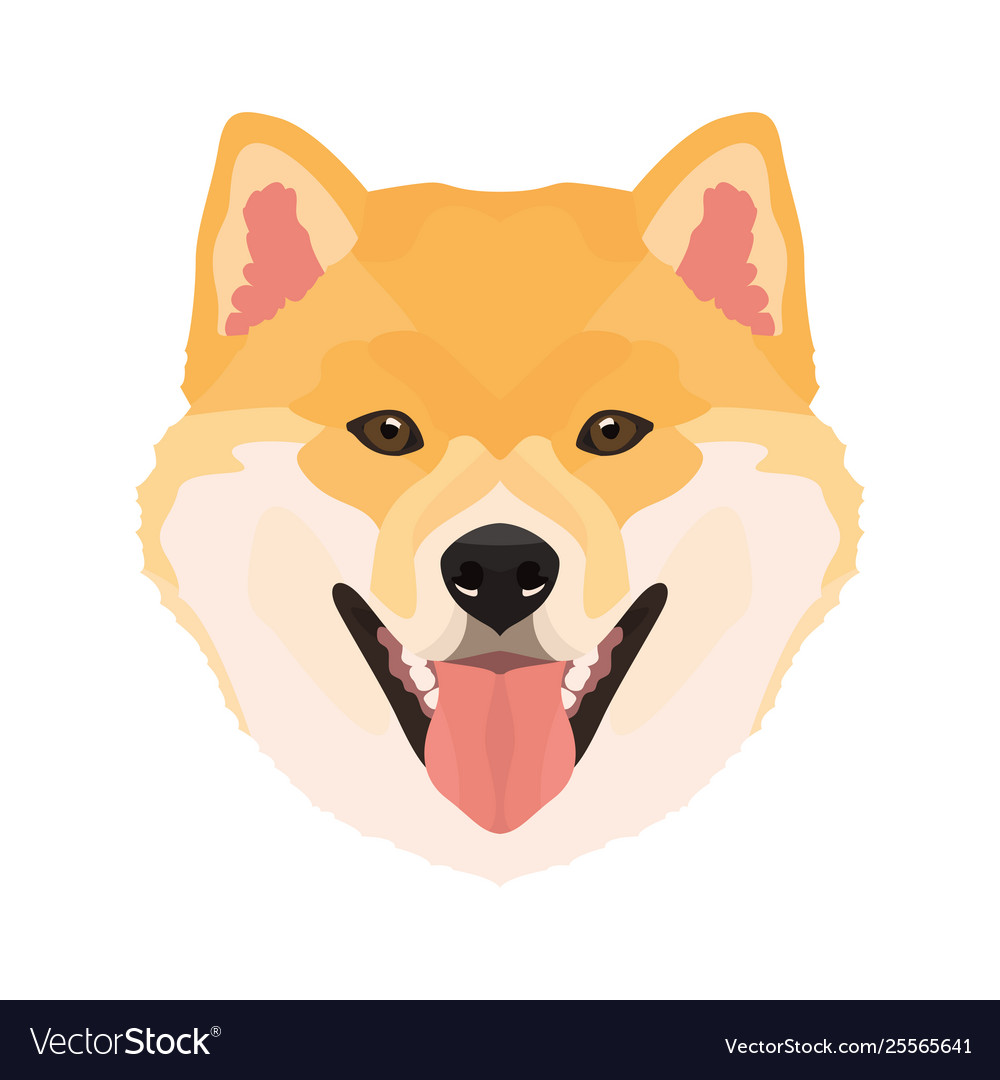 free shiba inu