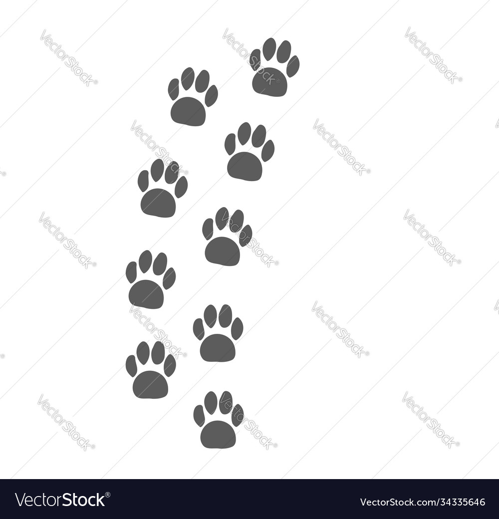 Animal Footprints - Paw Prints