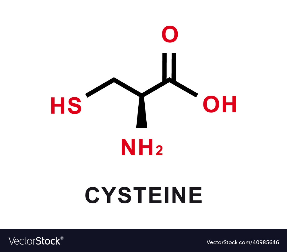 Cysteine chemical formula cysteine chemical Vector Image