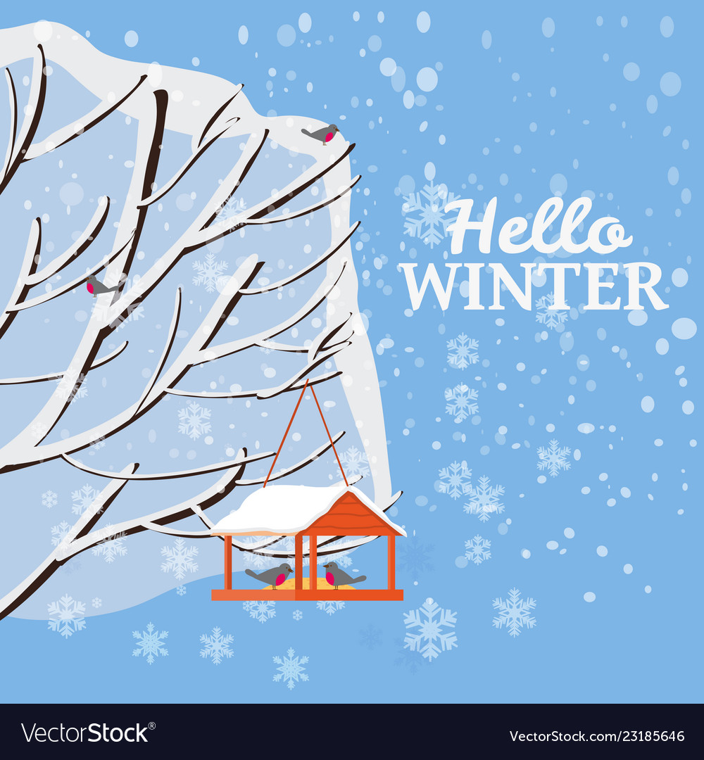 Hello Winter Snow Landscape Bird Feeder With Vector Image