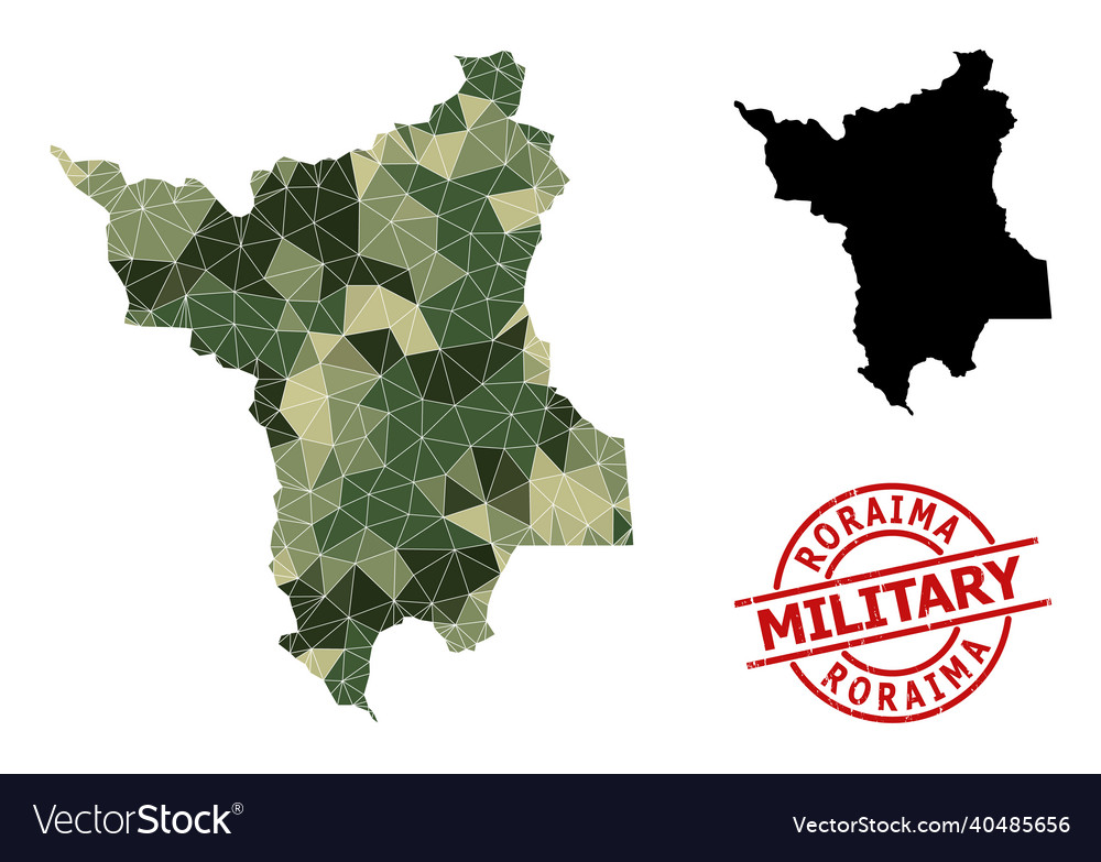 Triangulated mosaic map of roraima state vector image Triangulated mosaic map of roraima state