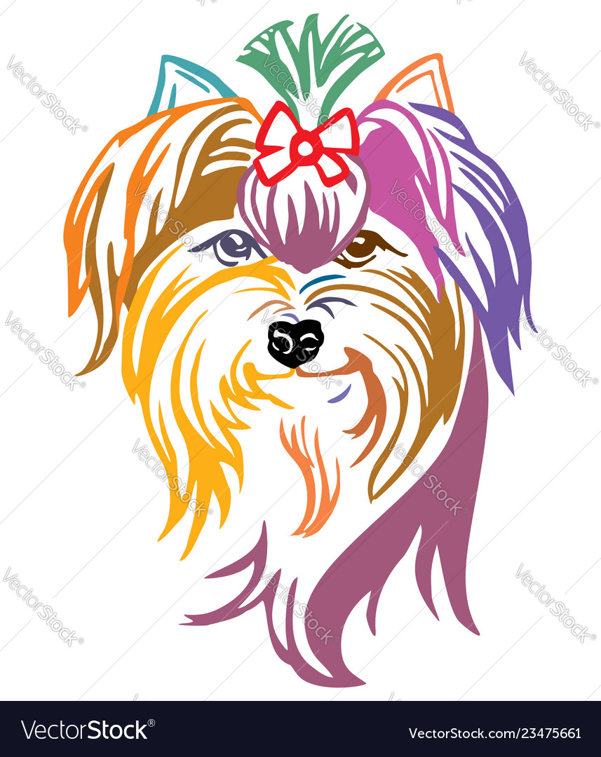 Colorful Decorative Portrait Of Dog Yorkshire Vector Image