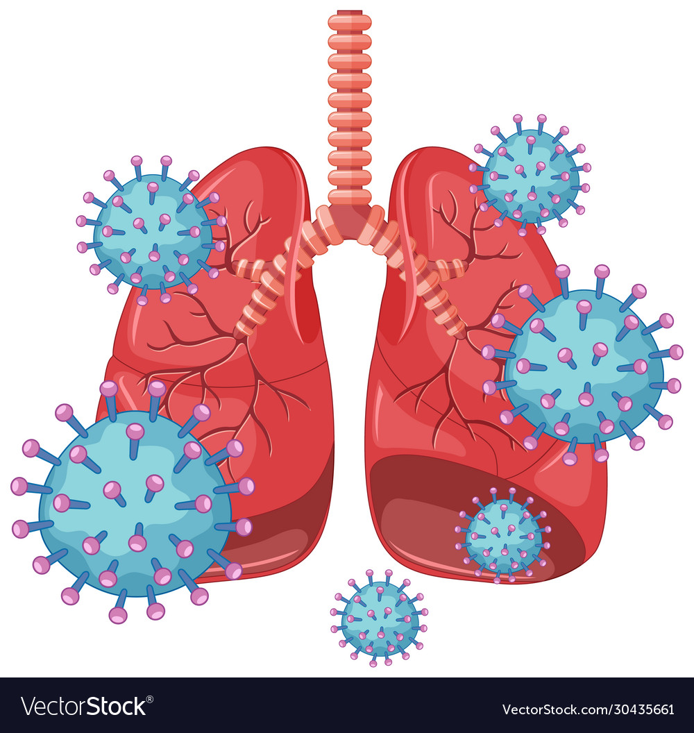 Coronavirus poster design with human lungs Vector Image