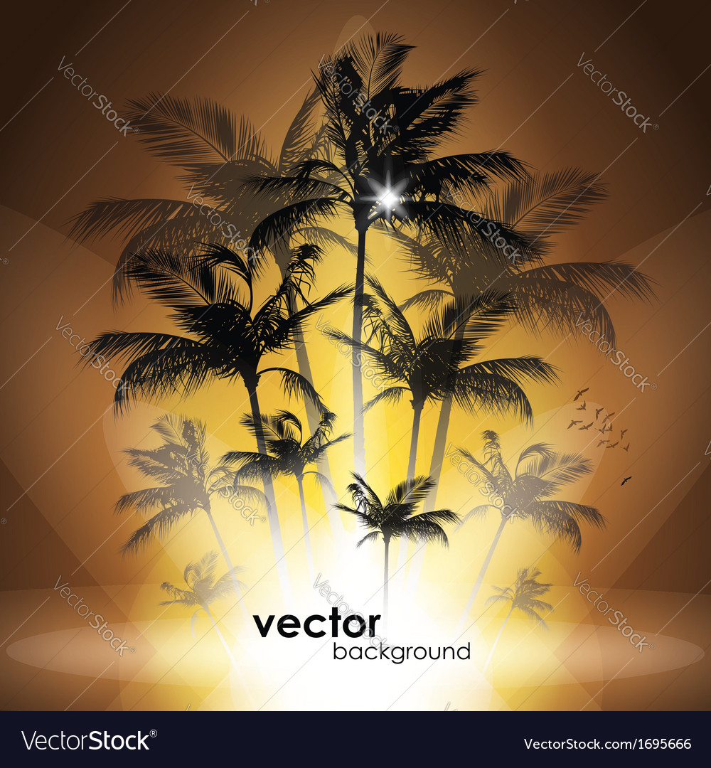 Palm trees at sunset Royalty Free Vector Image