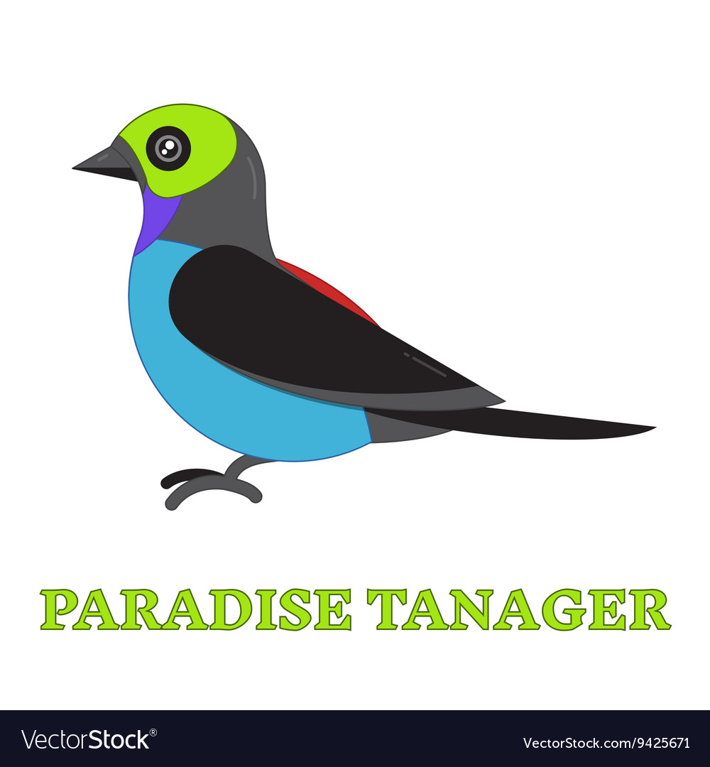 Paradise tanager bird line art icon