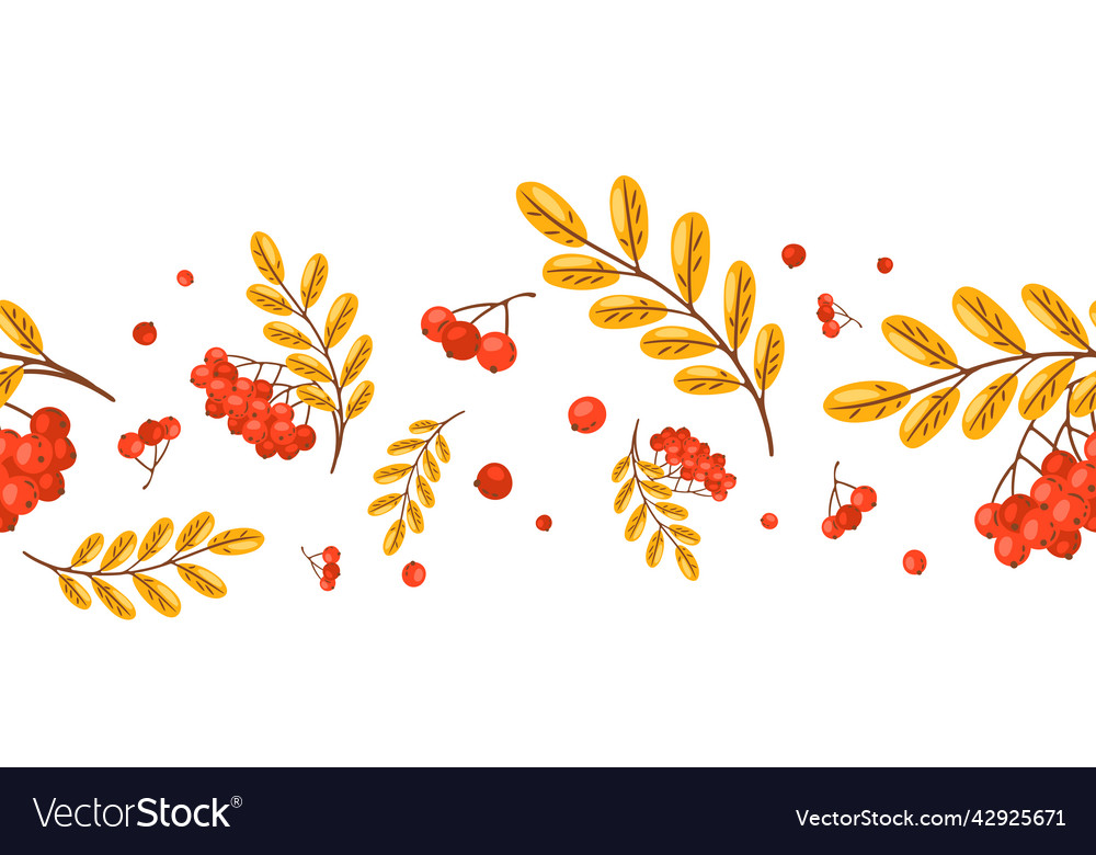 Seamless pattern of rowan with berries image vector image Seamless pattern of rowan with berries image