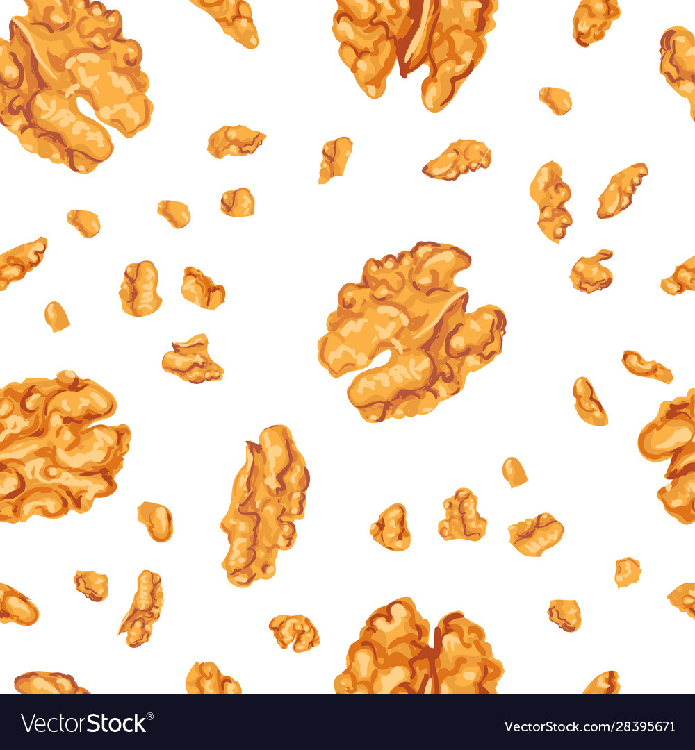 Walnut Kernel Seamless Pattern