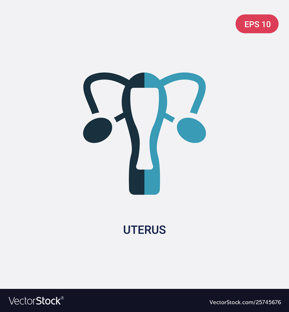 Two color uterus icon from medical concept