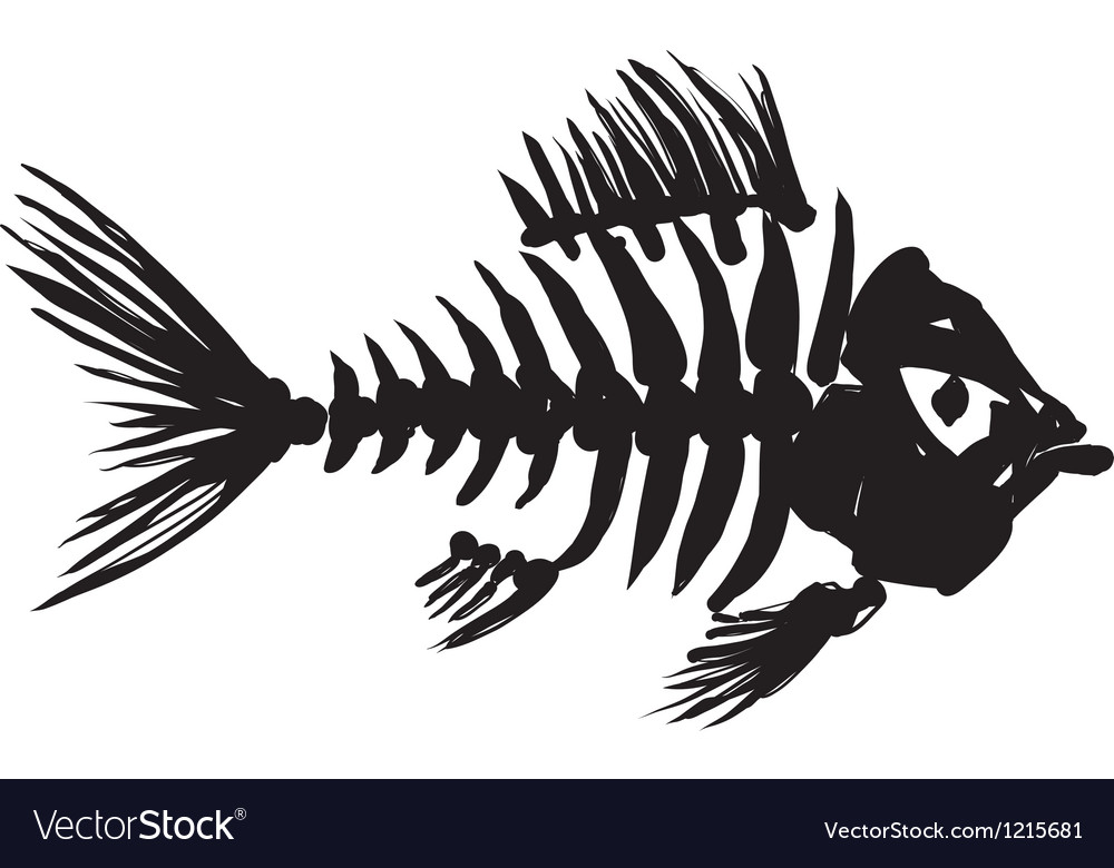 Fish skeleton Royalty Free Vector Image - VectorStock