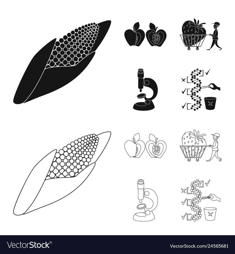 Isolated object of test and synthetic icon set vector image Isolated object of test and synthetic icon set