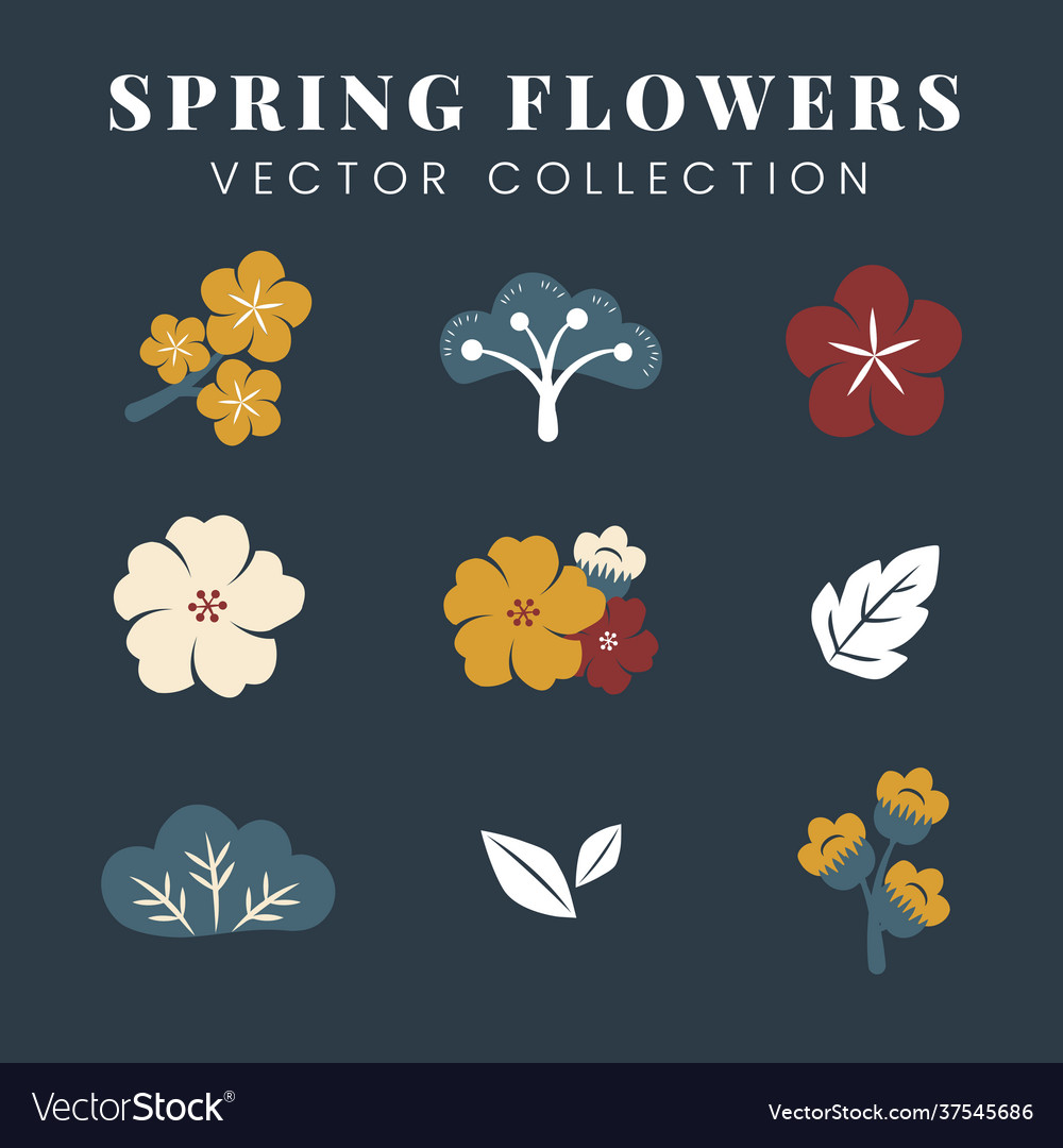 Colorful flowers set Royalty Free Vector Image