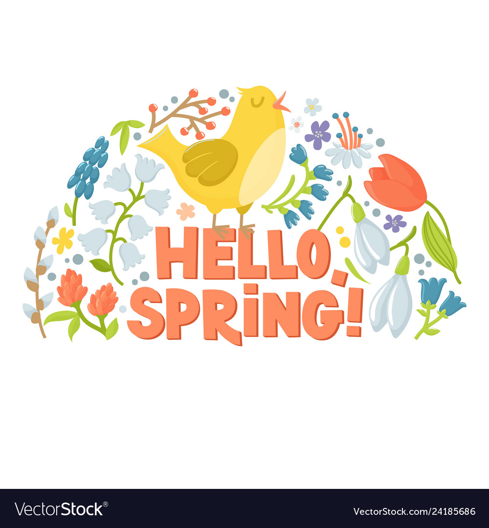 Hello spring banner with chicken flowers and text