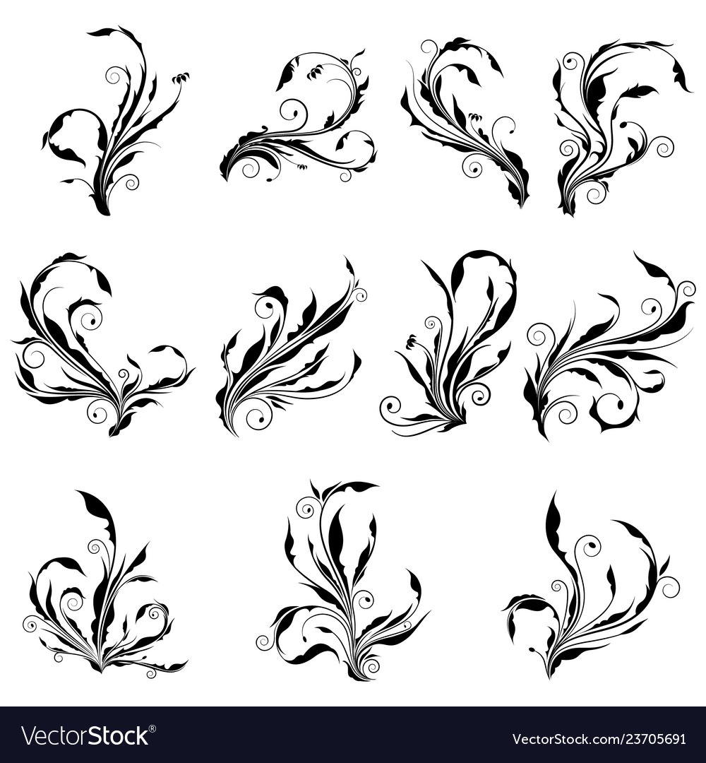 Collection of curl floral graphic with spir