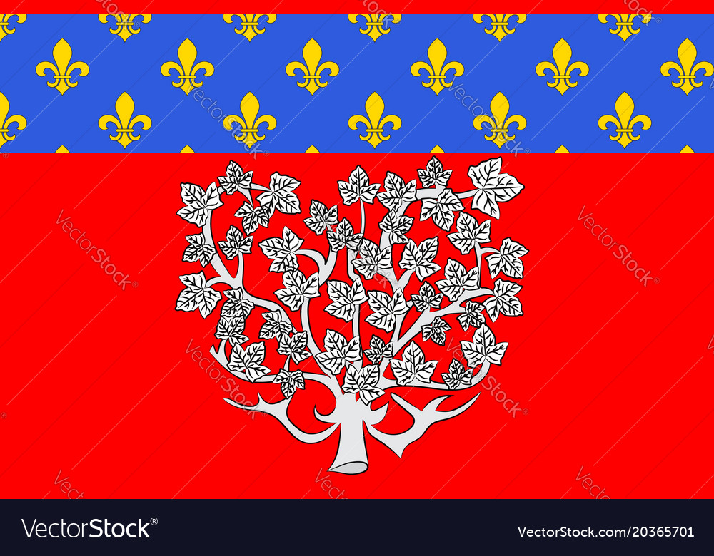 Flag of amiens in somme hauts-de-france