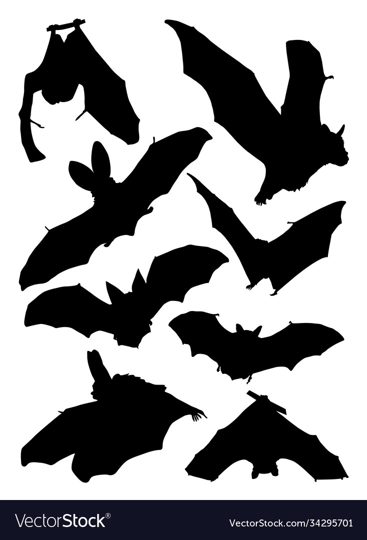 Set bat silhouettes