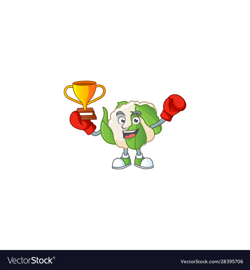 Super cool boxing winner cauliflower in mascot