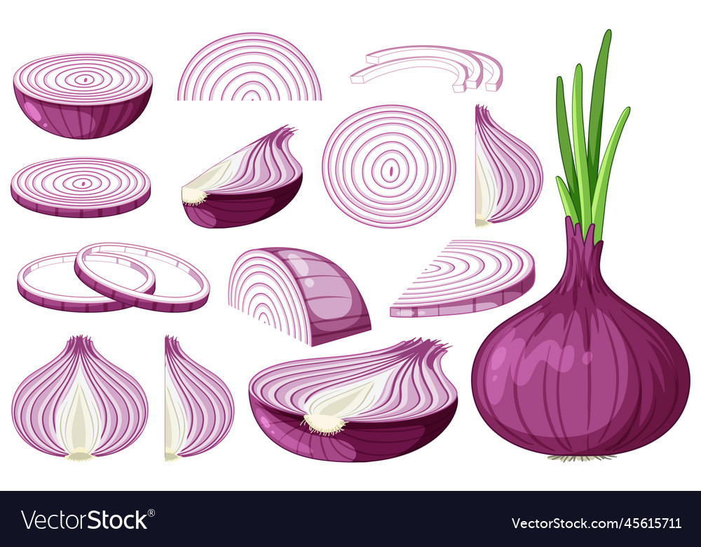 Shallot in whole and sliced pieces Royalty Free Vector Image