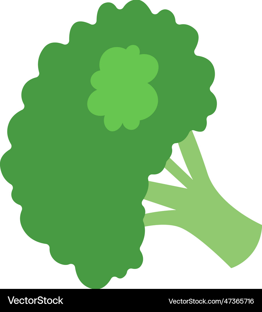 Broccoli vegetable icon Royalty Free Vector Image