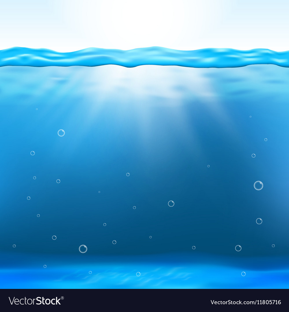 Underwater view Royalty Free Vector Image - VectorStock