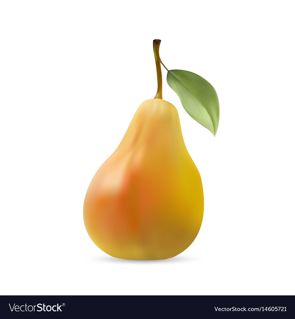 Realistic of pear with leaf