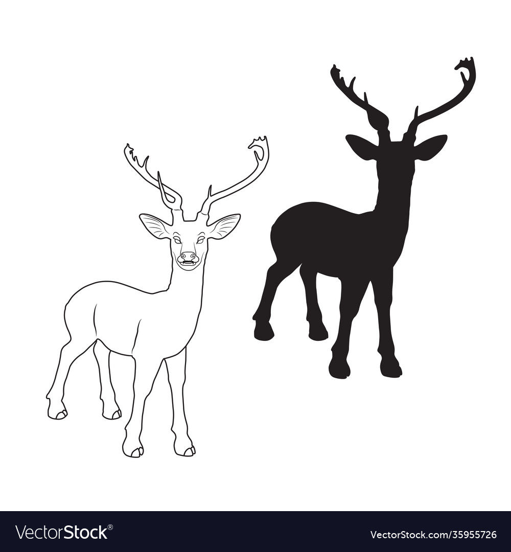 Deer cartoon