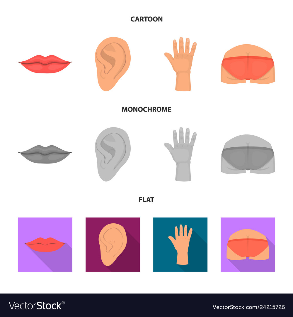 Design of body and part icon collection Vector Image Design of body and part icon collection