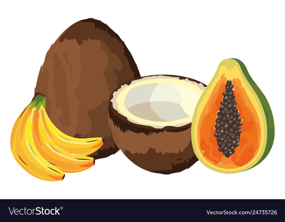 Tropical fruit cartoon