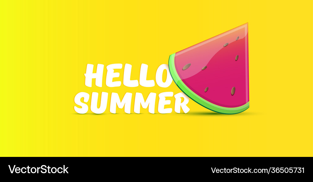 Hello Summer Beach Party Horizontal Banner Vector Image