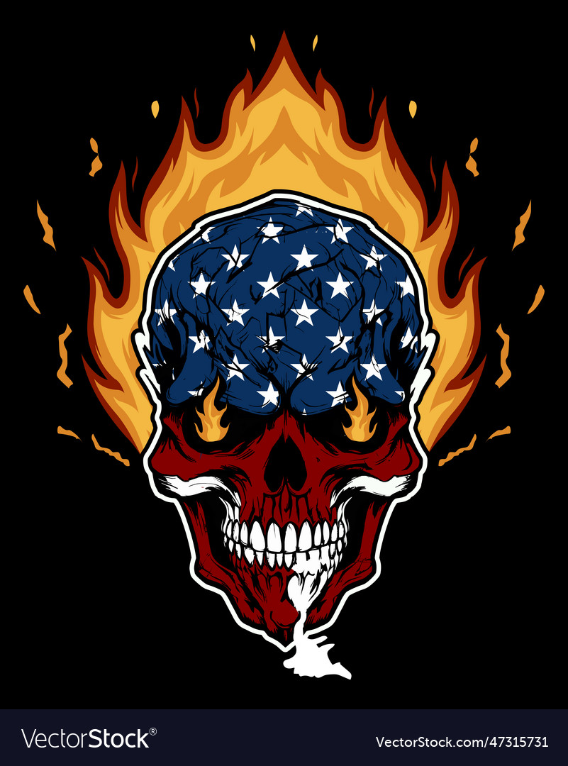 Skull with usa flag fire effect Royalty Free Vector Image