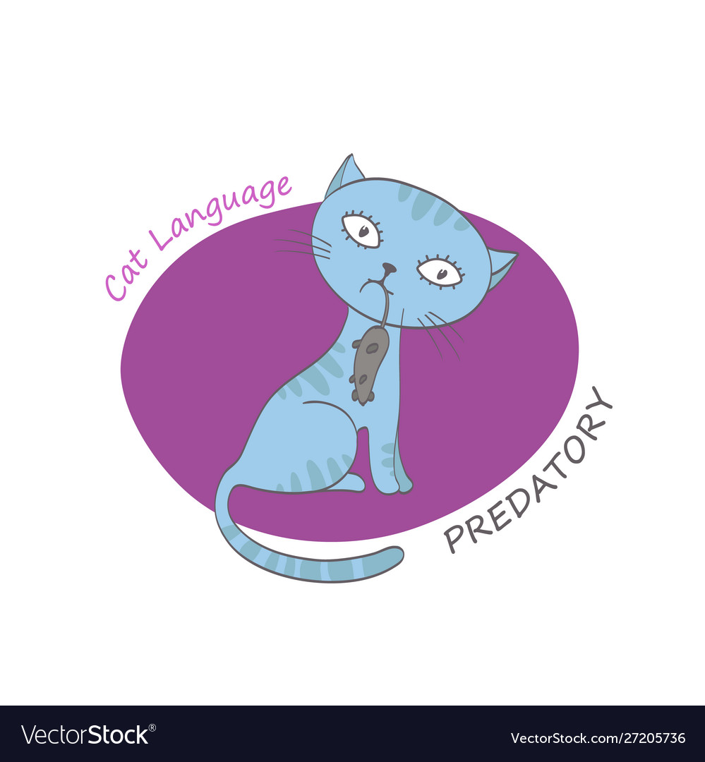 Cat behavior image vector image Cat behavior image