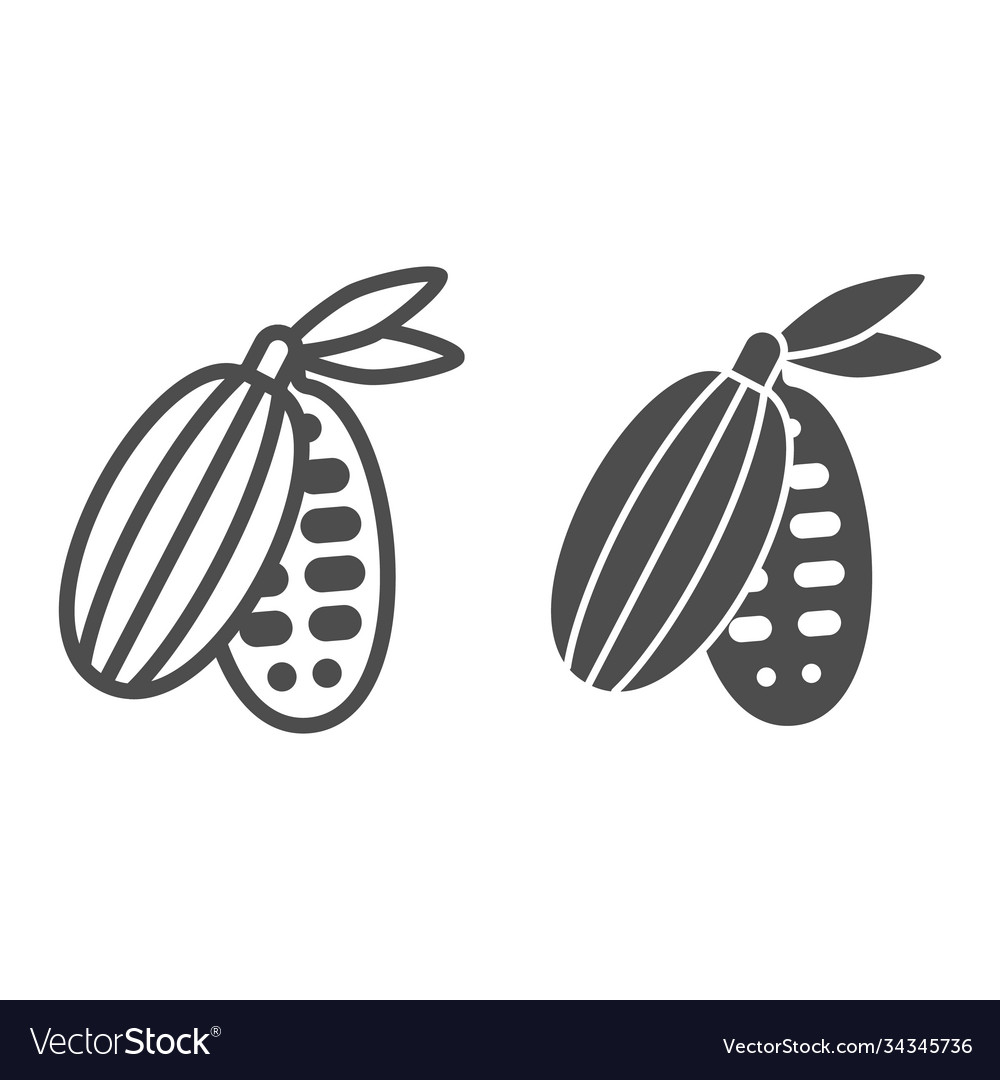 Cocoa beans line and solid icon chocolate vector image Cocoa beans line and solid icon chocolate