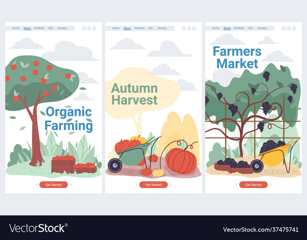 Flat cartoon fruitsvegetables crops harvest Vector Image