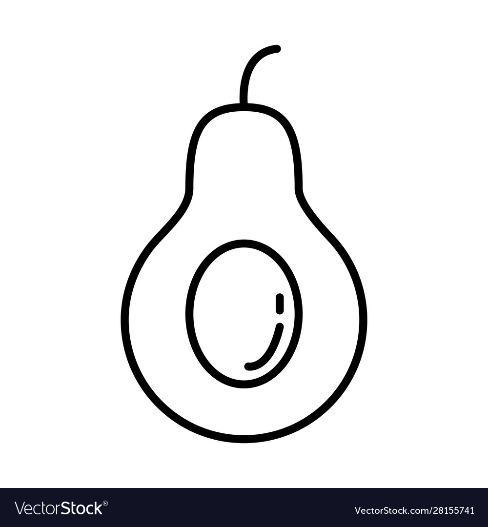 Fresh avocado vegetable isolated icon