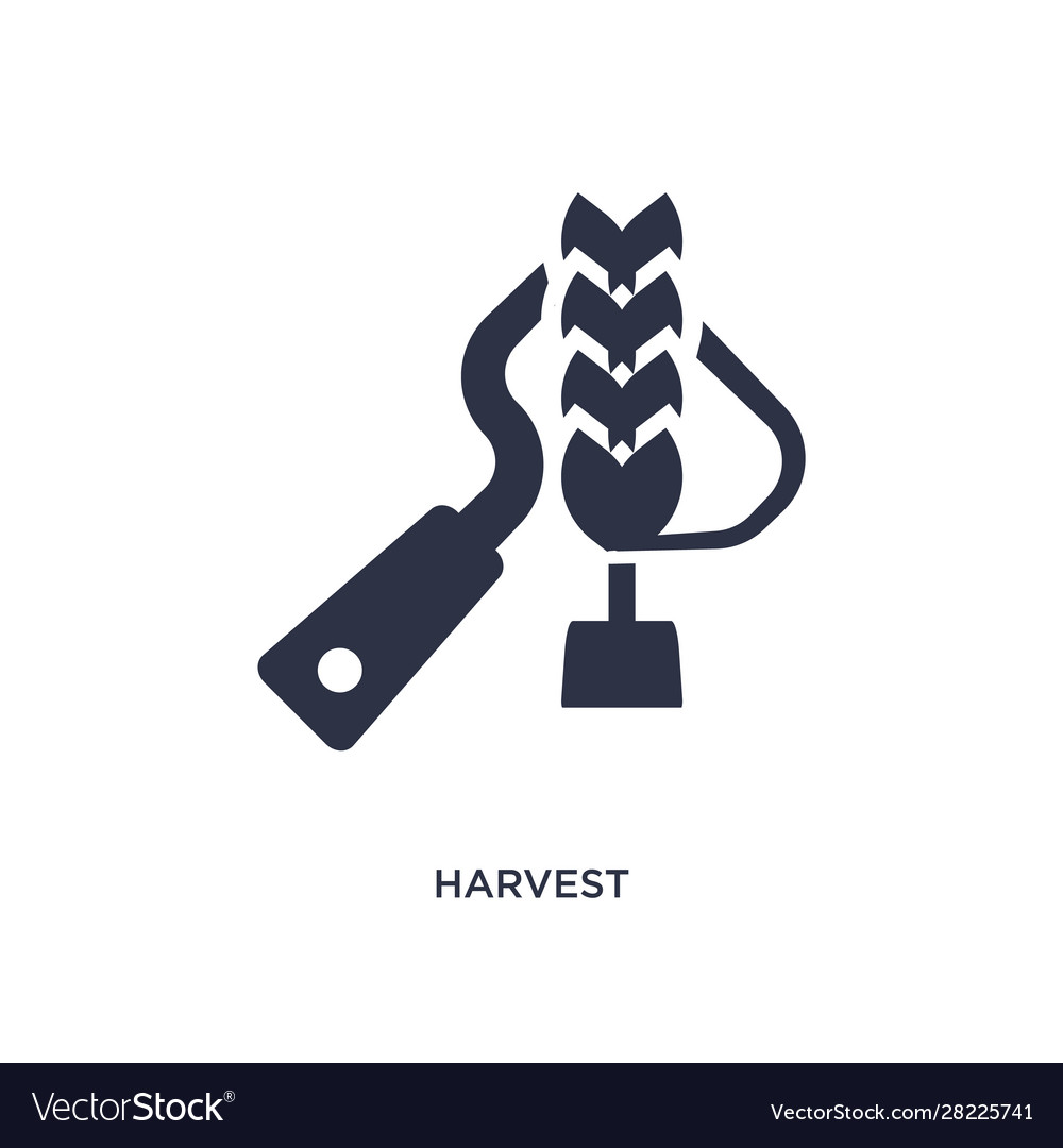 Harvest icon on white background simple element