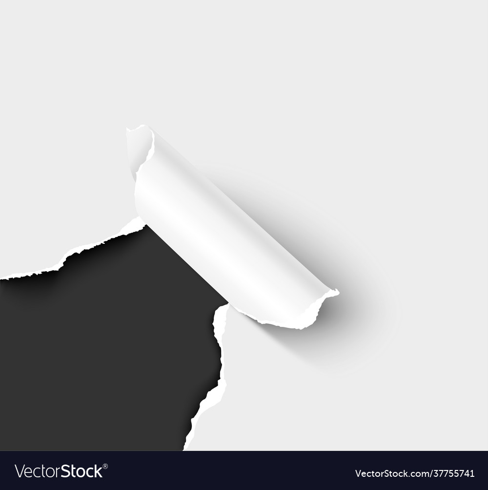 Ripped Paper Frame Vector Design Images, Rip White Paper Frame, Rip Paper, Tear  Paper, White Paper Corner PNG Image For Free Download in 2023, rip png frame