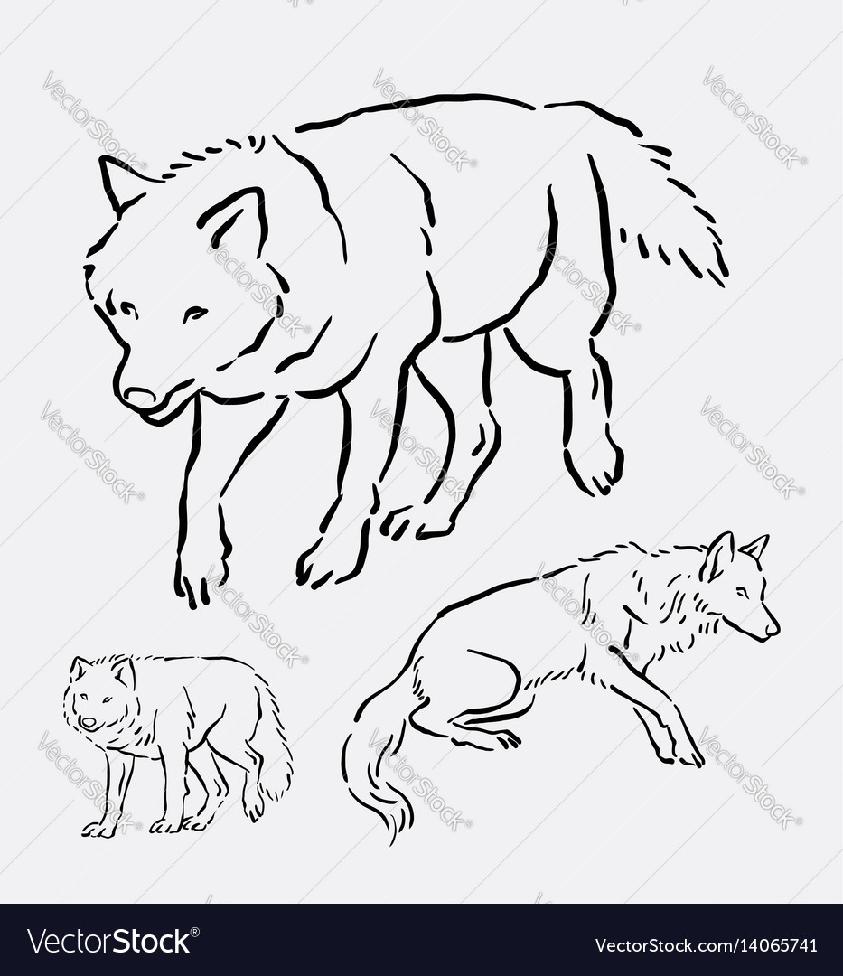 drawing of wolves in the wild