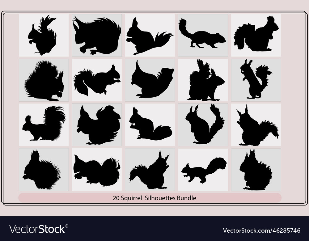 Squirrels silhouette Royalty Free Vector Image