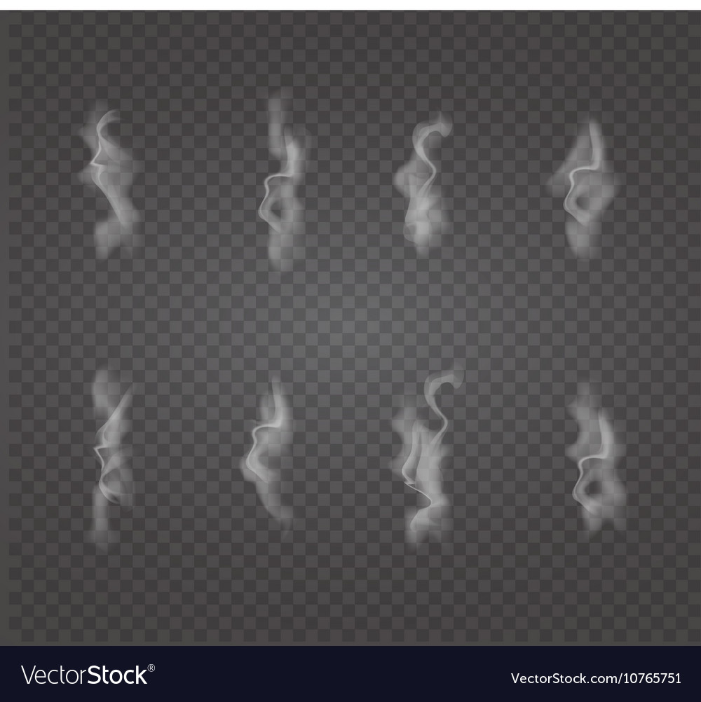 Set Of Transpa White Smoke Royalty Free Vector Image Set Of Transpa White Smoke Vector Image