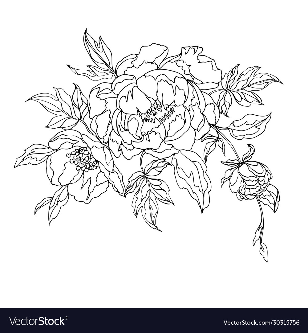 Black drawing Royalty Free Vector Image - VectorStock