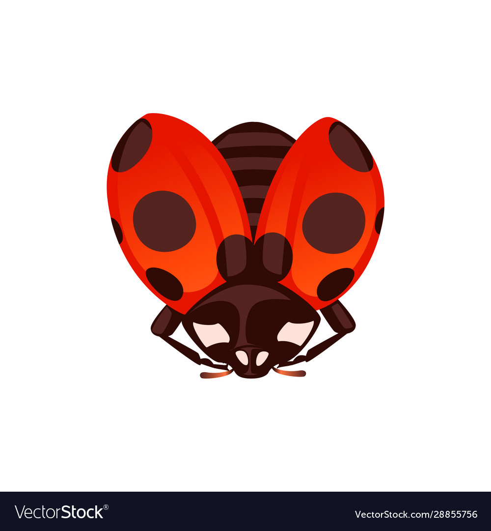 Ladybug with open shell and wings flying beetle vector image Ladybug with open shell and wings flying beetle