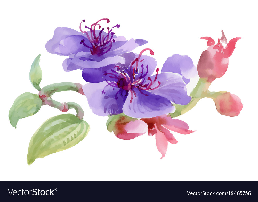 Watercolor Floral Branch