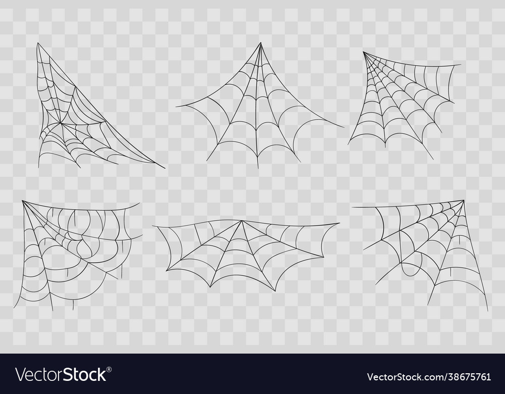 Hand drawn spider web or halloween cobweb