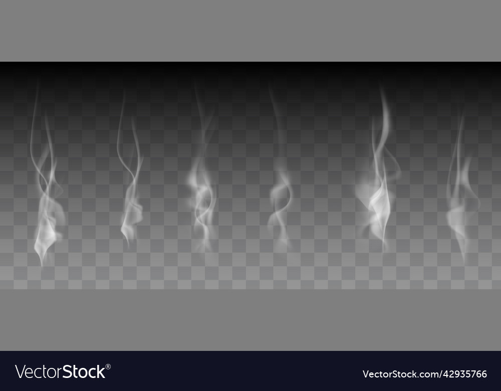 Set of white smoke steam waves from coffee tea Vector Image