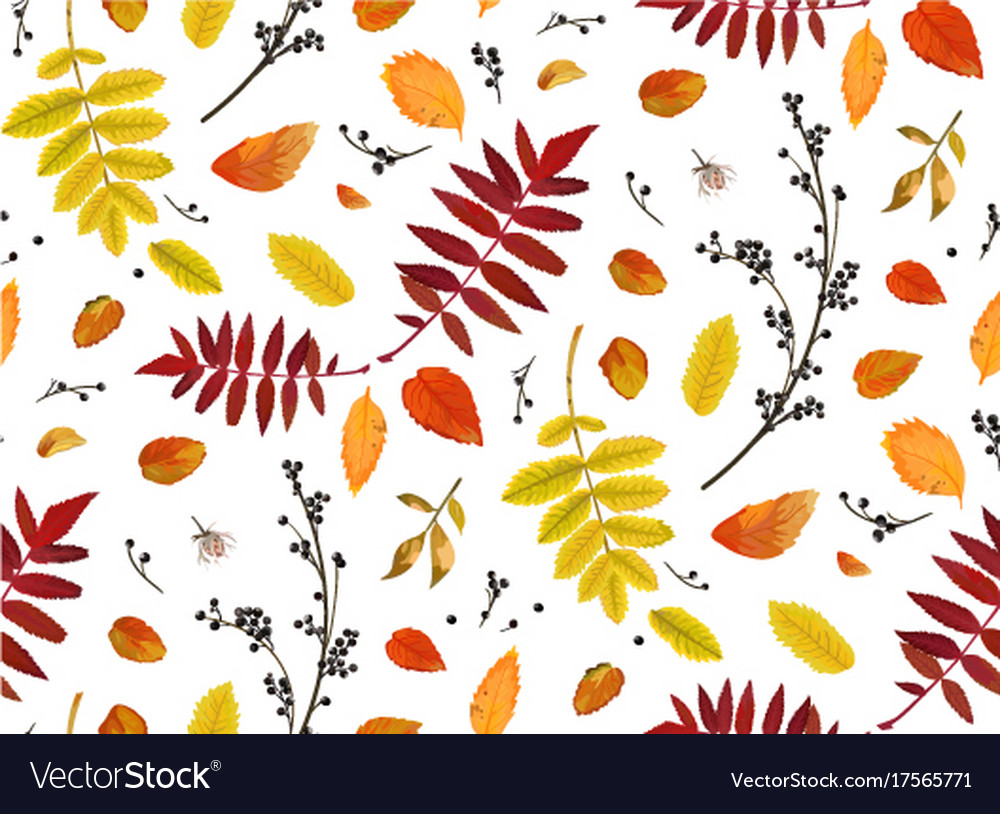 Autumn Floral Watercolor Pattern